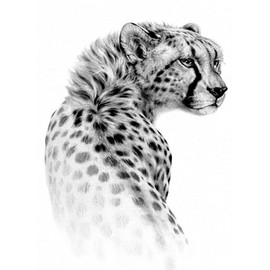 2 Blätter Temporary Leopard Tattoo Gepard Tattoo Tier Tattoo TH227x2