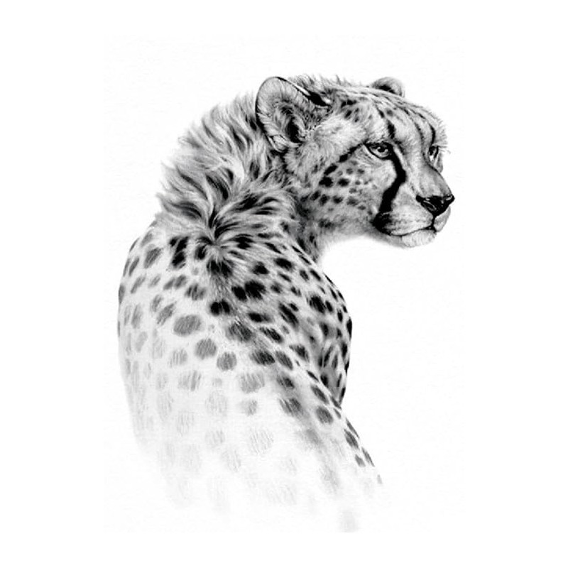 2 Blätter Temporary Leopard Tattoo Gepard Tattoo Tier Tattoo TH227x2