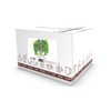 Bonsai Tea Co. Green Tea, Compatible with 2.0 Keurig K