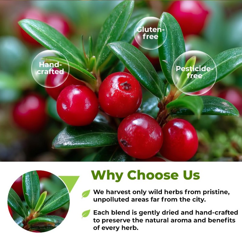 4 oz. Uva Ursi Leaf Uva Ursi Tea Herbal (Arctostaphylos