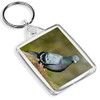 Destination Vinyl Keyrings Funky Grey Pigeon Keyring Ornithology Twitcher Fun