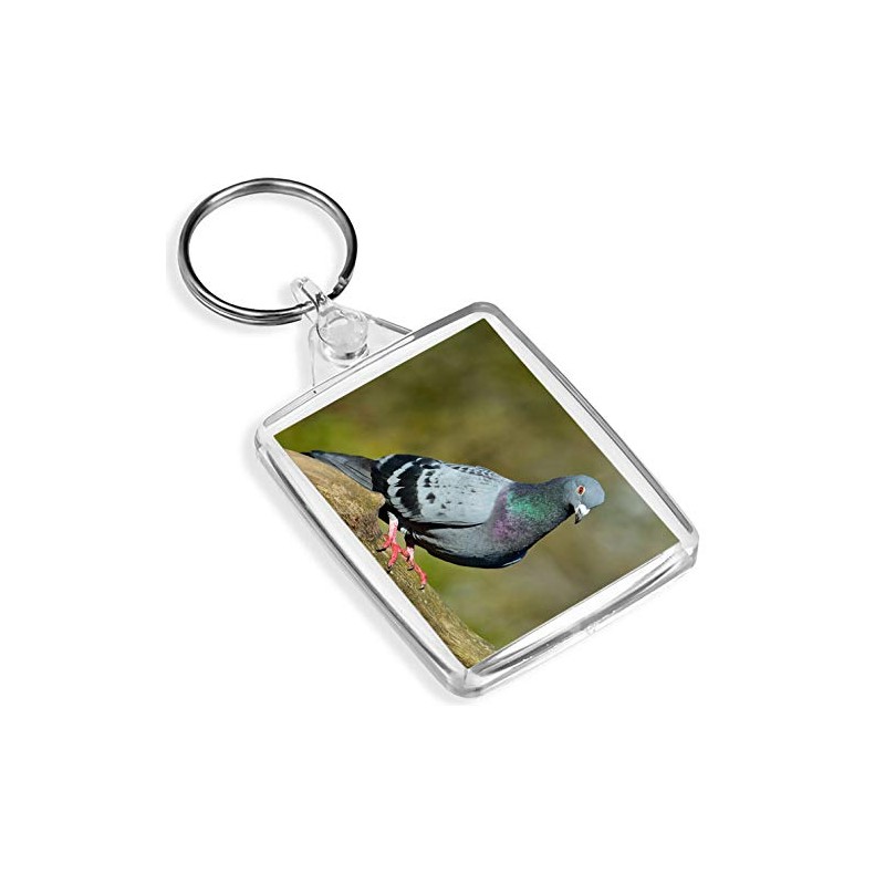 Destination Vinyl Keyrings Funky Grey Pigeon Keyring Ornithology Twitcher Fun