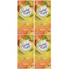 Crystal Light On The Go Peach Mango Green Tea, 10