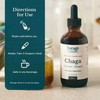Chaga Mushroom Tincture, With Chaga Extract for Excellent Digestive and