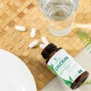 Calcium Supplement 1200 mg - with Vitamin D3 for Best