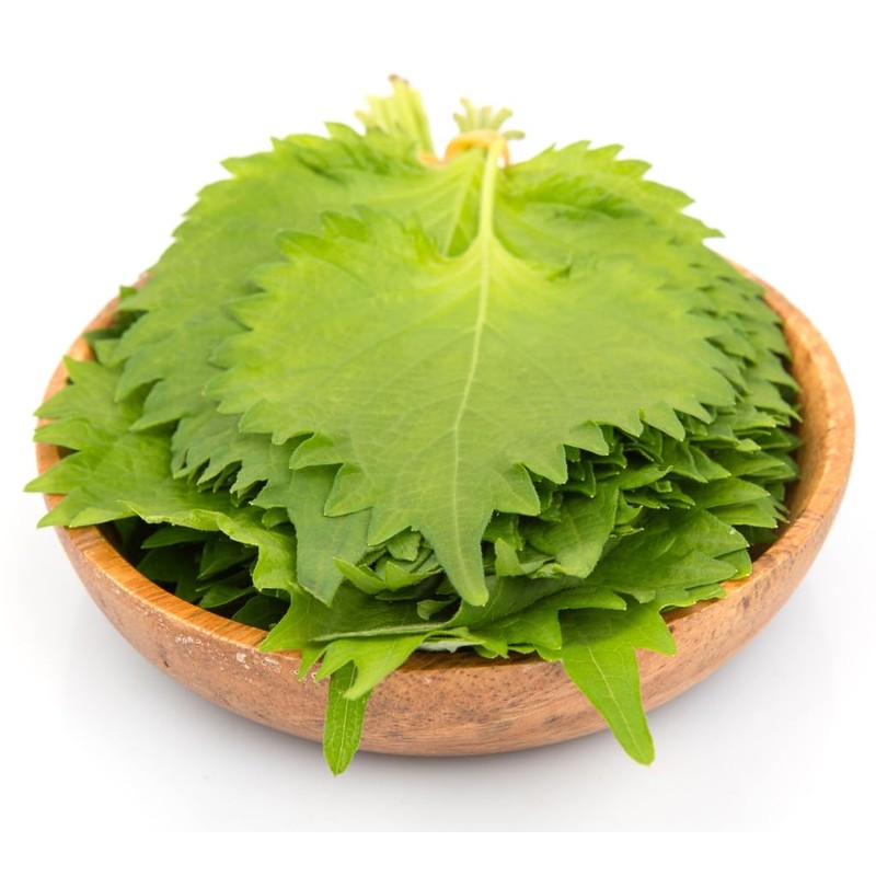 Shiso Seeds, Pack of 1500+ Perilla Seeds for Planting