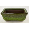 Yubonzai Rectangular Shohin Bonsai, Succulent Pot 6"x 4.5"x 2.25" w