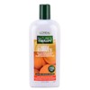 L'Oréal L'OREAL Nature's Therapy Mega Curves Curl Enhancing Shampoo / 12 fl oz