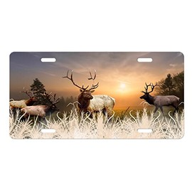 Wildlife Vanity Aluminum Front License Plate (Winter Fields Elk)