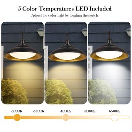 Goosebrite LED Outdoor Barn Lights, 12 Inch Farmhouse Exterior Wall Light Fixtures with Adjustable Color Temperature, Black Porch Lights Outside for House, Outdoor & Indoor, Gold Interior, 1 Pack