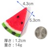Food Sample Magnet, Likely to Eat, Watermelon, 037M