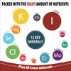 Trace Mineral Complex | Full Spectrum Minerals | Ionic Liquid