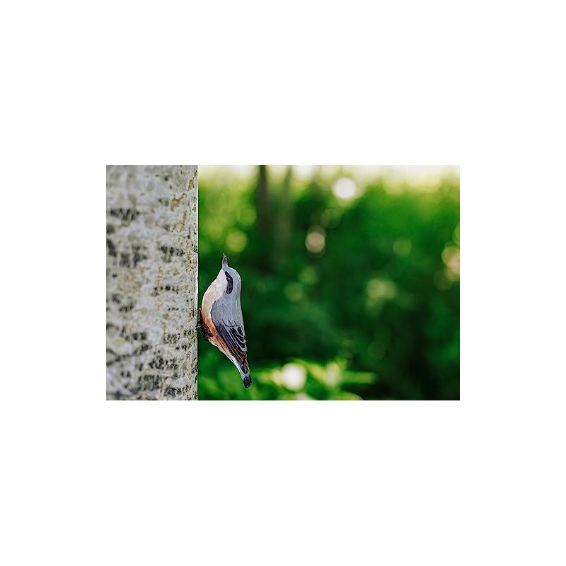 WILDLIFEGARDEN Wildlife Garden WG410 DecoBird Nuthatch, Hand-Carved Decorative Wooden Bird,