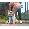 EcoBark Dog Leash - Soft & Reflective Comfort Training Leashes