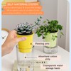 MIXNEX Self-Watering Plant Pot with Separate Base – Creative Hydroponic