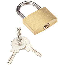 Cogex 80107 Brass Padlock 25 mm, Gold