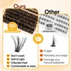 Lash Clusters Wispy 60D Cluster Eyelash Extensions 320pcs Individual Natural