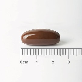 Lamberts SOYA Lecithin Capsules – High Strength 1200mg – Rich in Phospholipids & Choline – 120 Capsules