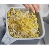 Soy Sprout Growing Set All-in-One Complete Set for Home: Simple,