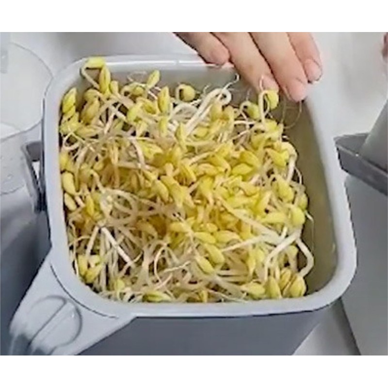 Soy Sprout Growing Set All-in-One Complete Set for Home: Simple,