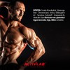 Activlab Creatine Monohydrate - 500g Jar | Optimum Nutrition Pre-Workout