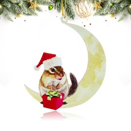 Animals Sitting On The Moon Ornaments for Christmas Tree - Acrylic Chipmunk Christmas Ornament - Christmas Tree Decorations Ornaments - Xmas New Year Gifts
