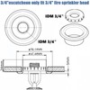 Happy Tree (6 Pack) 3/4" IPS Fire Sprinkler Head Escutcheon