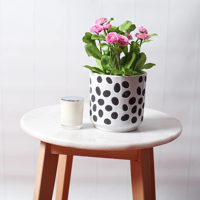 Sill and Sage Glossy Dot Pots, Black/White, Medium