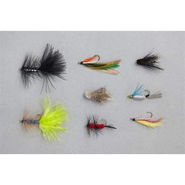 Balzer - Edition Fly | Folrellen Streamer