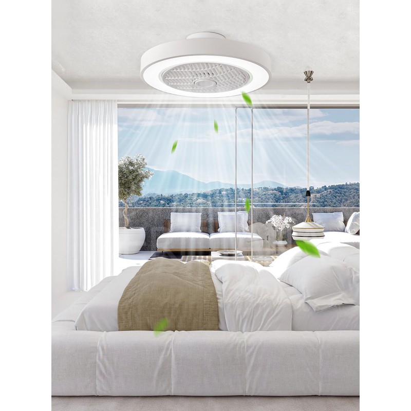 LEDIARY 20 Inch Low Profile Ceiling Fan With Light, Led