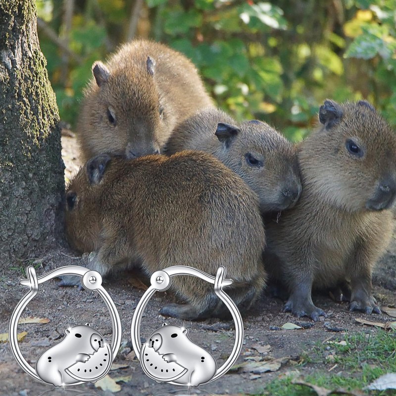 Cute Animal Earrings Capybara/Dragon/Butterfly/Panda/Cat Hoop/Stud/Dangle Drop Earrings for Women 925