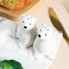 Bicuzat Ceramic Polar Bears Pattern Salt & Pepper Shakers Set,