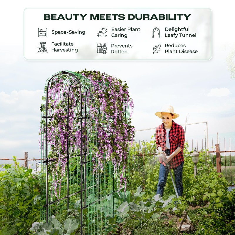 Idzo Arched Trellis for Raised Garden Bed, 70in Stainless Steel