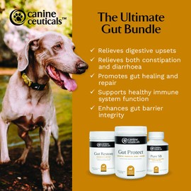 CanineCeuticals - The Ultimate Gut Bundle - Digestive Health Support for Dogs - Restore Healthy Intestinal Flora - Promote Gut Healing & Repair - Reduce Inflammation - Normalise Bowel Movements