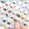 Acrylic Magnetic Seashell Display Box, 64 Grids Acrylic Seashell Display