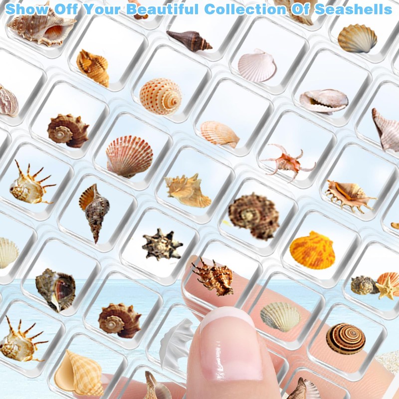 Acrylic Magnetic Seashell Display Box, 64 Grids Acrylic Seashell Display