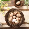 Valery Madelyn Pack of 12 Easter Eggs for Hanging Easter