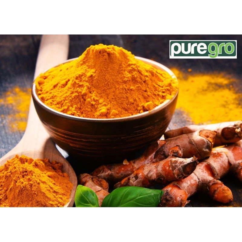 Puregro Turmeric Powder 100g | PACK OF 1 | Haldi
