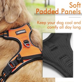 rabbitgoo Dog Harness,No-Pull Pet Harness with 2 Leash Clips,Adjustable Soft Padded Dog Vest,Reflective No-Choke Pet Oxford Vest with Easy Control Handle for Large Breeds,Orange (L, Chest 20.5-36")