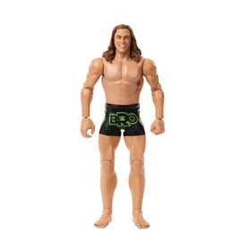 WWE Matt Riddle Bro Basic Series 139 Wrestling Action Figure Toy
