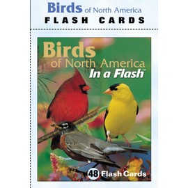 Impact Photographics IMP2FLC Flash Cards Birds North American
