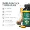 Primal Harvest® Curcuma Proactiv - 60 Curcuma Capsules - Curcuma