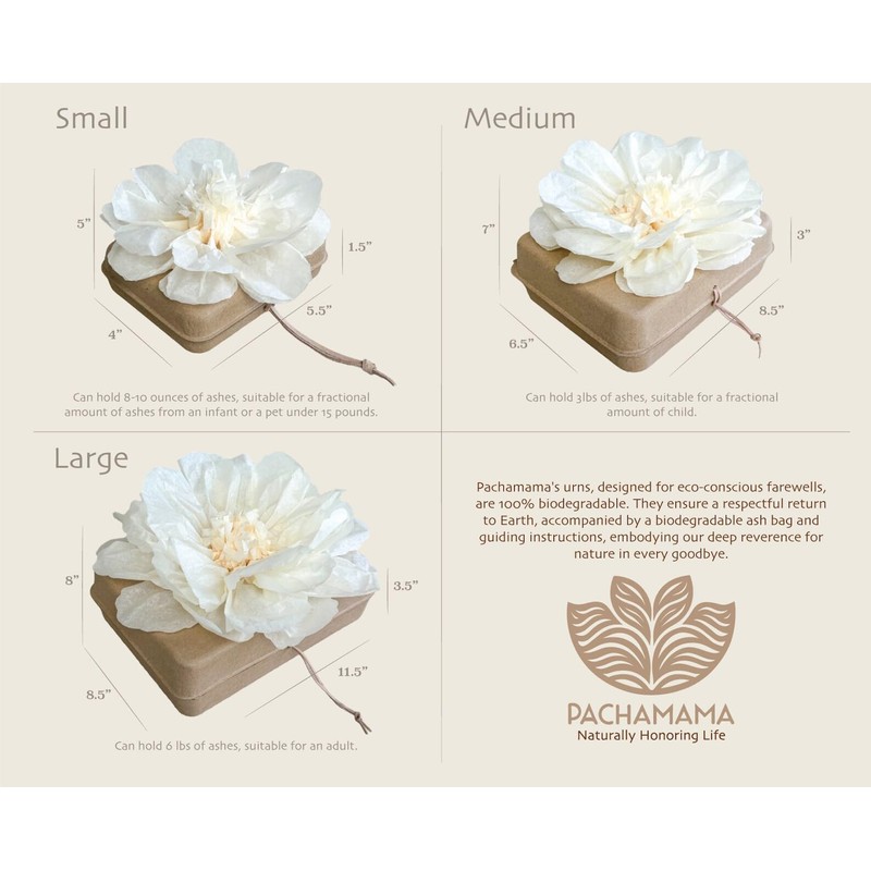 Generic Biodegradable urn for Water and Ground Burial (Medium -