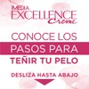 Tinte para cabello Excellence L'Oréal Paris 4 Castaño