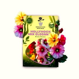Seeds Multicolor Hollyhock Seed Mix Elegance 30+ Non-GMO Seeds to Grow Perennial Flower