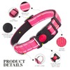 LARRYROO Reflective Dog Nylon Collar | Slide Lock Safety Buckle