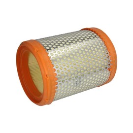 Purflux A973 Air Filter