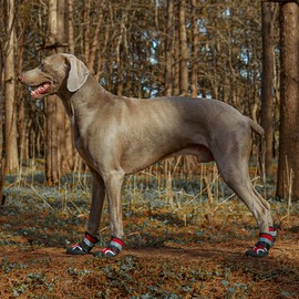 Waterproof Dog Boots for Hot Pavement & Snowy Days, Non-Slip Dog Booties with Reflective Strips, Toe Bumper Design Durable Paw Protectors for Outdoor Walking 4Pcs