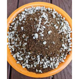 Orchid Plant Potting Soil Mix Peat Moss & Perlite (3 Cups / 1 Quart) from Baby Violets