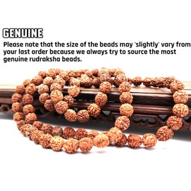 Rudraksha Mala Beads Necklace With 108 Prayer Beads for Japa, Meditation, And To Increase Calmness